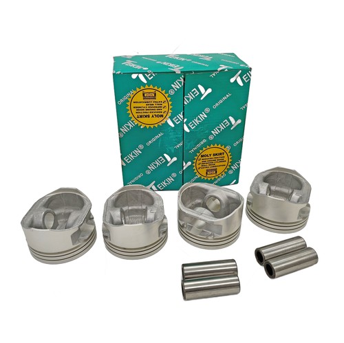 Поршни 0.50 TKN 015199