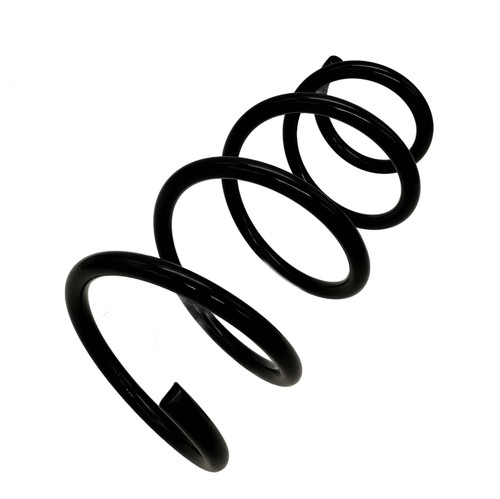 Пружина передняя RAMEDER 20A110003