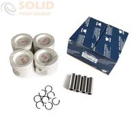 Поршни WXQP 312405