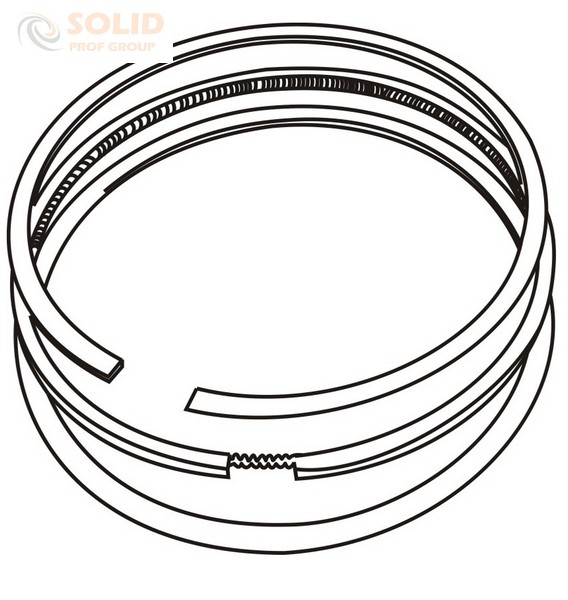 Кольца поршневые 75.50 (1.75*2.0*3.0) без лапши
