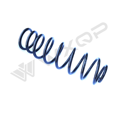 Пружина задняя WXQP 370053