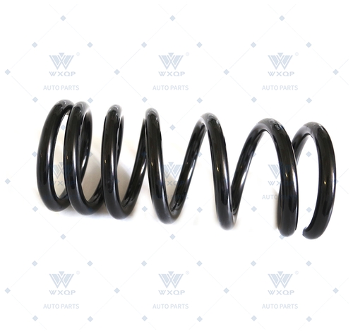 Пружина задняя D19мм WXQP 55261