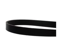 Ремень ручейковый LNS LD4254